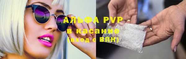 ECSTASY Михайлов