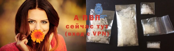a pvp Надым