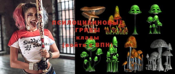 ECSTASY Михайлов