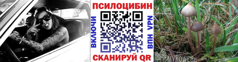 Галлюциногенные грибы Psilocybe  Лукоянов 