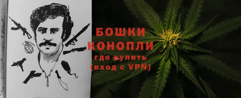 Бошки Шишки OG Kush  Лукоянов 